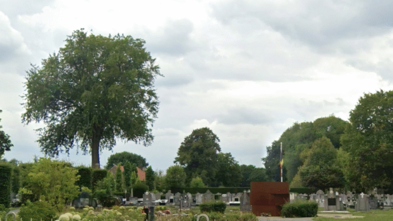 Van witte roos tot praktische verbeteringen